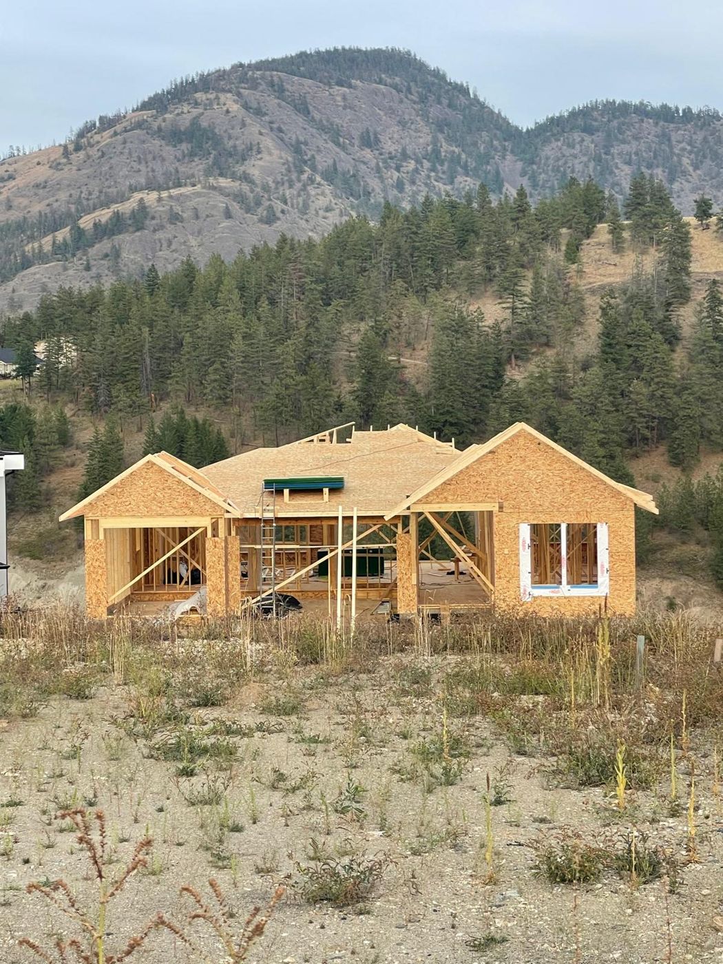 Single-level home framed and roof sheathed with a hillside behind